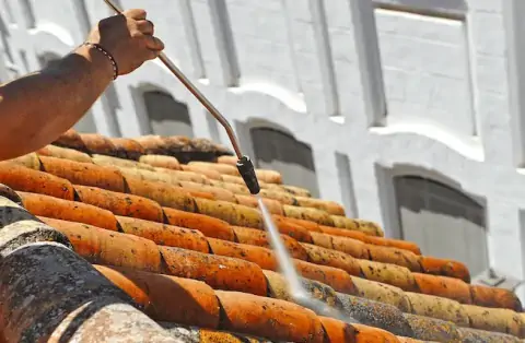 Nettoyage de toitures - Le Grand-Lemps